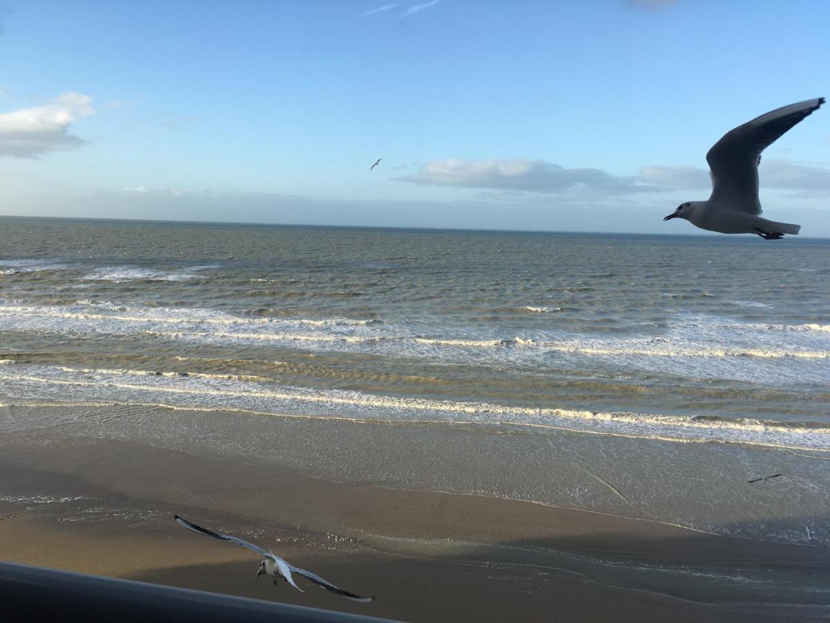 Entre Dunes Et Mer Bray-Dunes Esterno foto